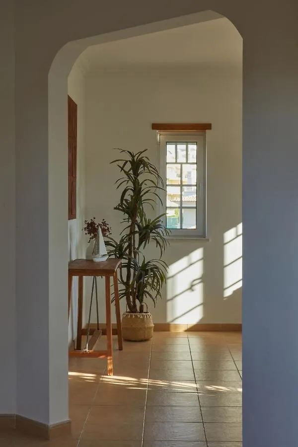 Villa Monte Das Oliveiras Lux - 600M From The Beach - Swimming Pool - Wi Fi - Aircon Albufeira