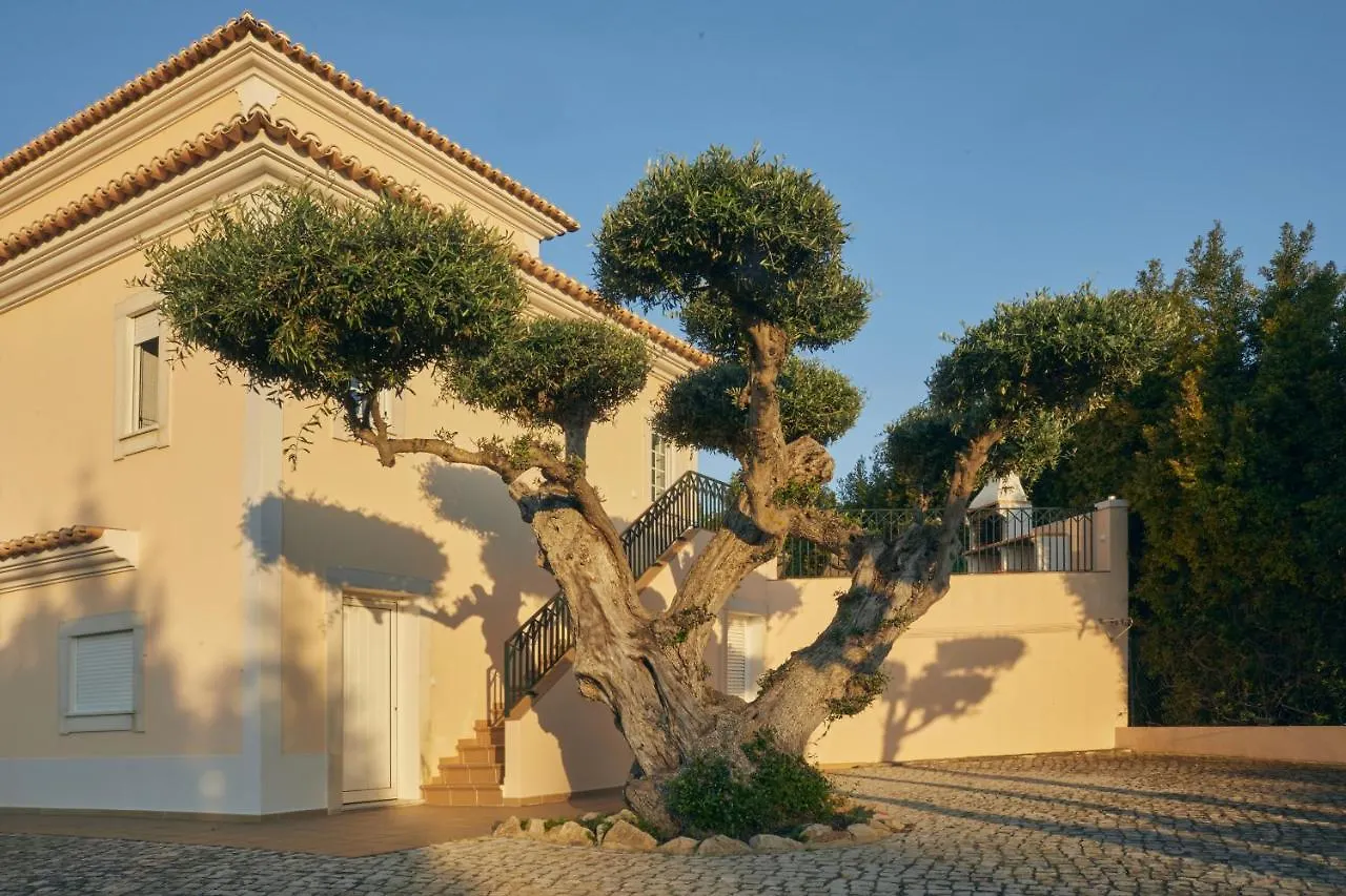 Villa Monte Das Oliveiras Lux - 600M From The Beach - Swimming Pool - Wi Fi - Aircon Albufeira