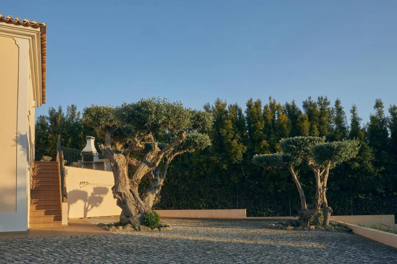 Villa Monte Das Oliveiras Lux - 600M From The Beach - Swimming Pool - Wi Fi - Aircon Albufeira